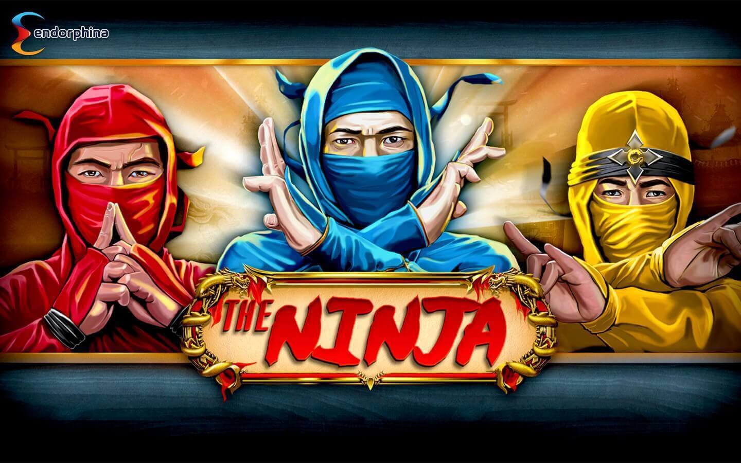 Ninja Průběh hry