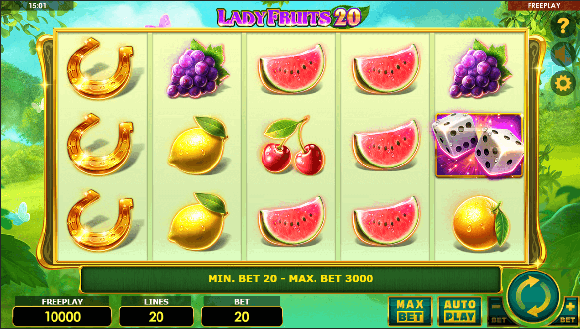 Lady Fruits 20 Průběh hry